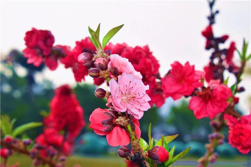 瞧!这花花世界谁不爱