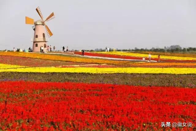 合肥各个区pk郑州,合肥是全国最漂亮的城市吗