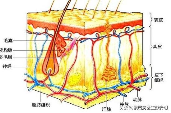 帅气纹身大哥图片,帅气大哥纹身视频