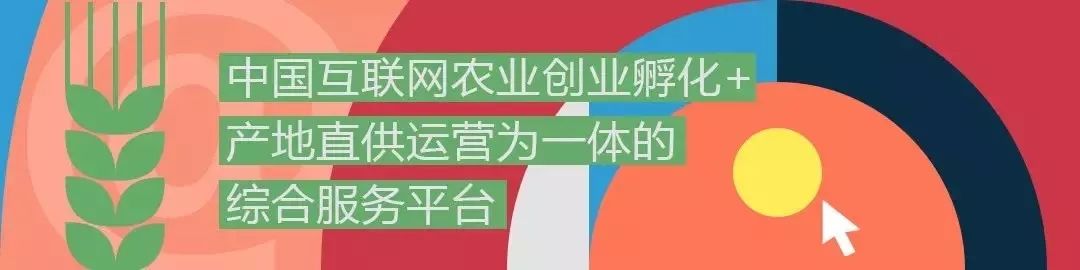 从“水果自由”到生鲜巨头，四个片段管窥水果生鲜万亿级市场