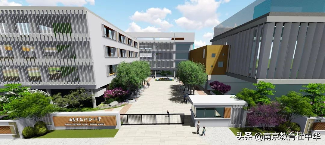 南京家长：码农咨询，雨花外小，雨花实小，软件谷小学选哪个好？