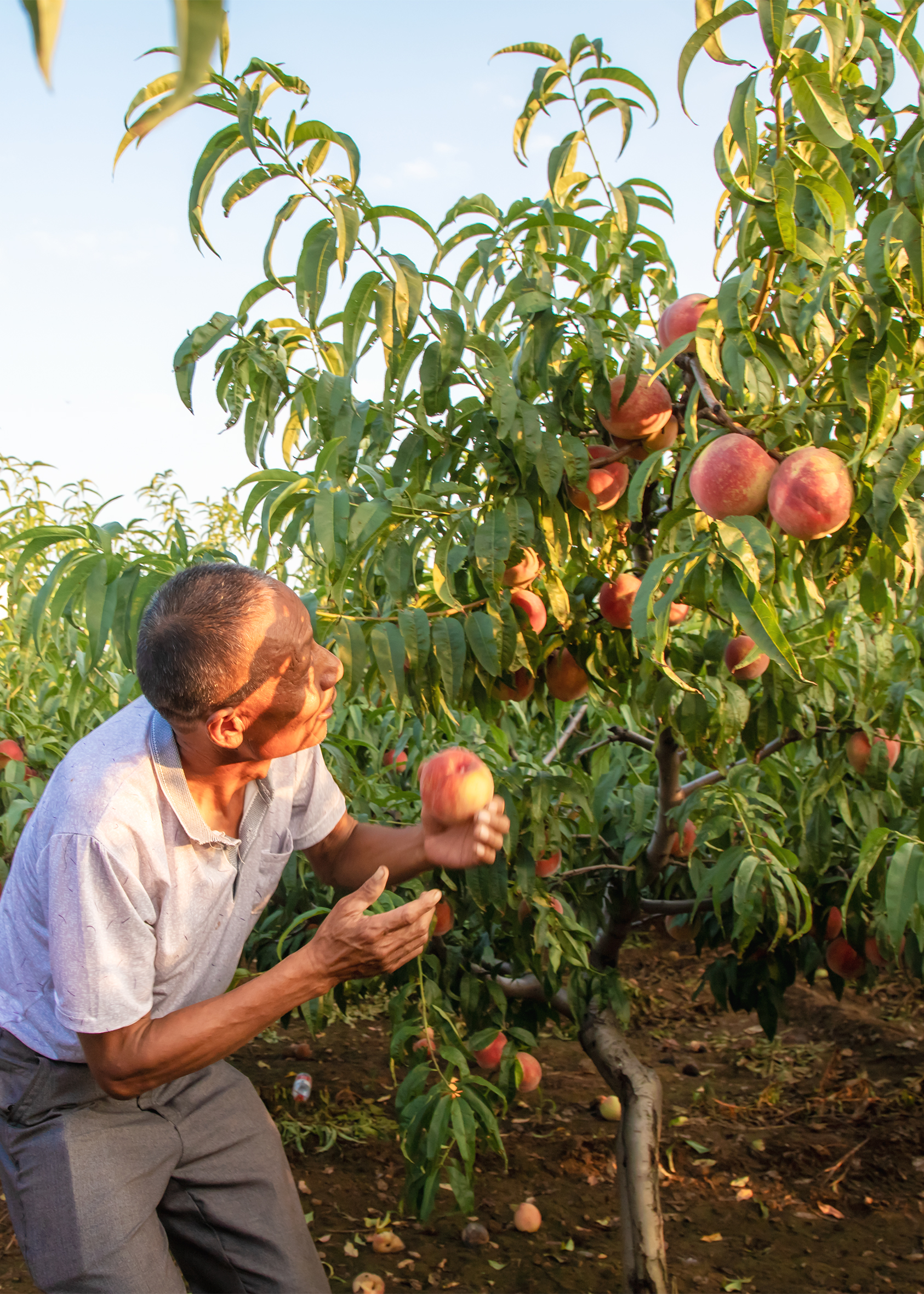济南南山好吃的美食店推荐,济南南山区有什么好吃的