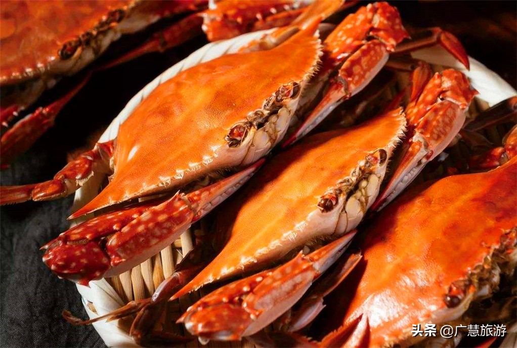 日照旅游攻略住宿最佳方案,日照旅游攻略住宿推荐5天四晚