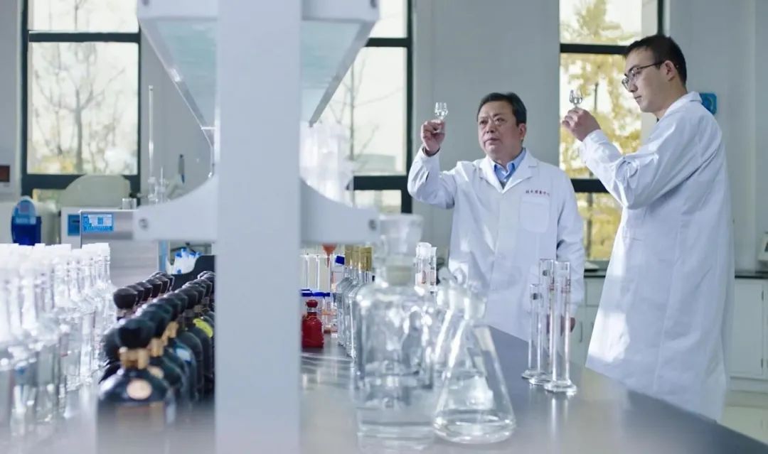 古井贡酒发展潜力,古井贡酒成长轨迹