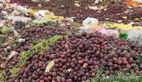 2019年水果滞销,2019年今年哪些蔬菜滞销