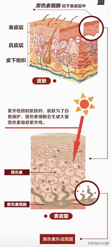 不懂护肤品怎么保养脸部,不懂保养保健的代价