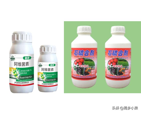 梨树叶片有黑斑是怎么回事,梨树早期落叶的原因和防治方法