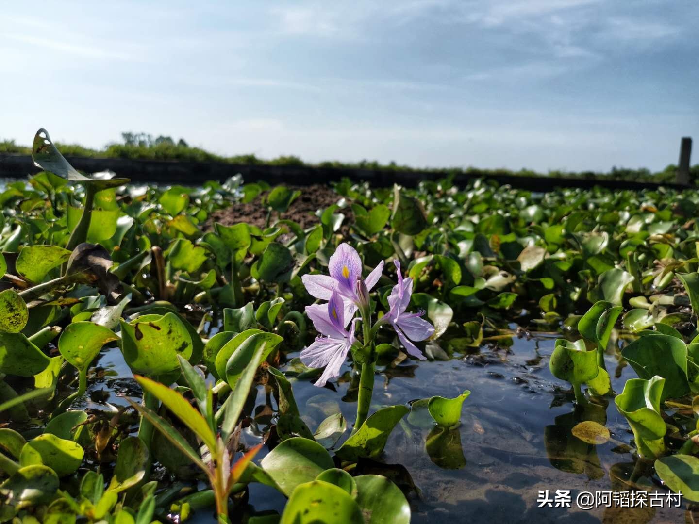 天然泉水石缝,大自然冷泉
