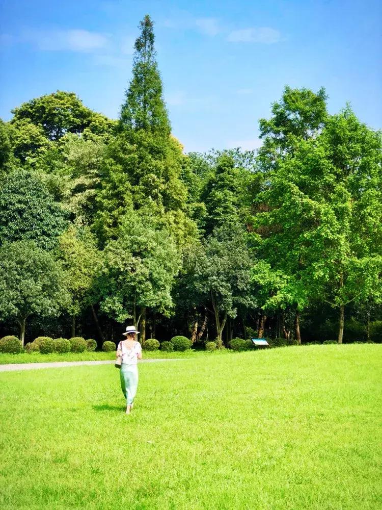 热炸！四川这些小众避暑佳境，光看图就能凉快10℃