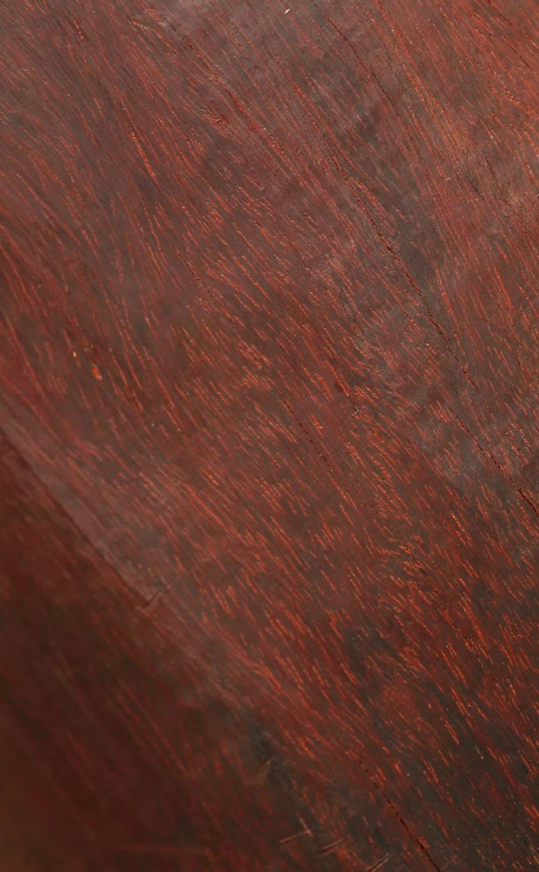 紫檀的真实身份,紫檀的一生