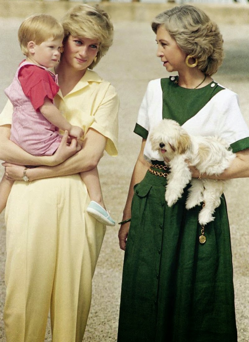 从不输戴安娜残成皱皮老太太,西班牙索菲亚大变样,都怪花心丈夫