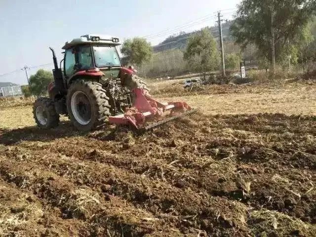 2020清远农业补贴一览表,农村老干部补贴新政策2020