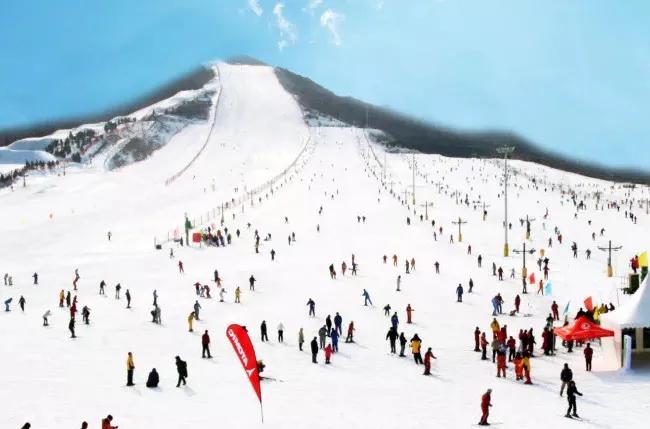 青岛冬天打卡圣地,青岛过年打卡景点有哪些