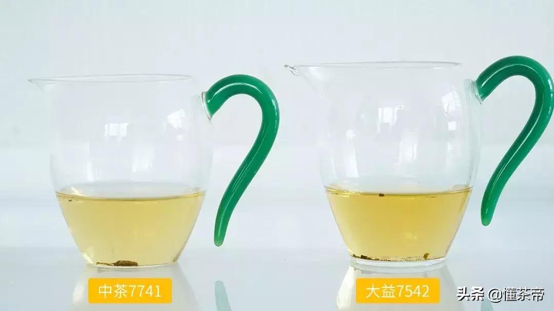 口粮茶选8653还是大益7542,大益茶7542和7572测评