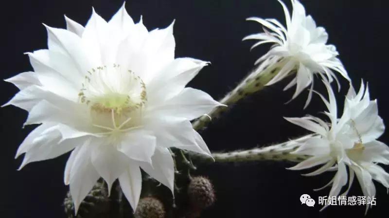 涂磊老师的经典语录句句见血,涂磊经典语录句句入心