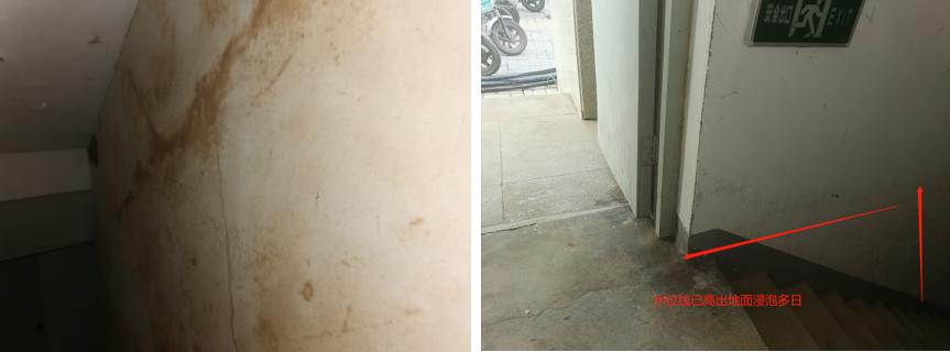 大河楼市·灾后12个小区隐患大检验，第五期