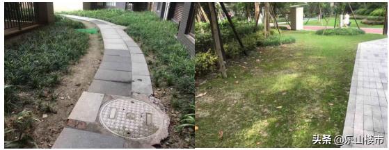 突击：我们暗中实查了时代青江小区的物业工作