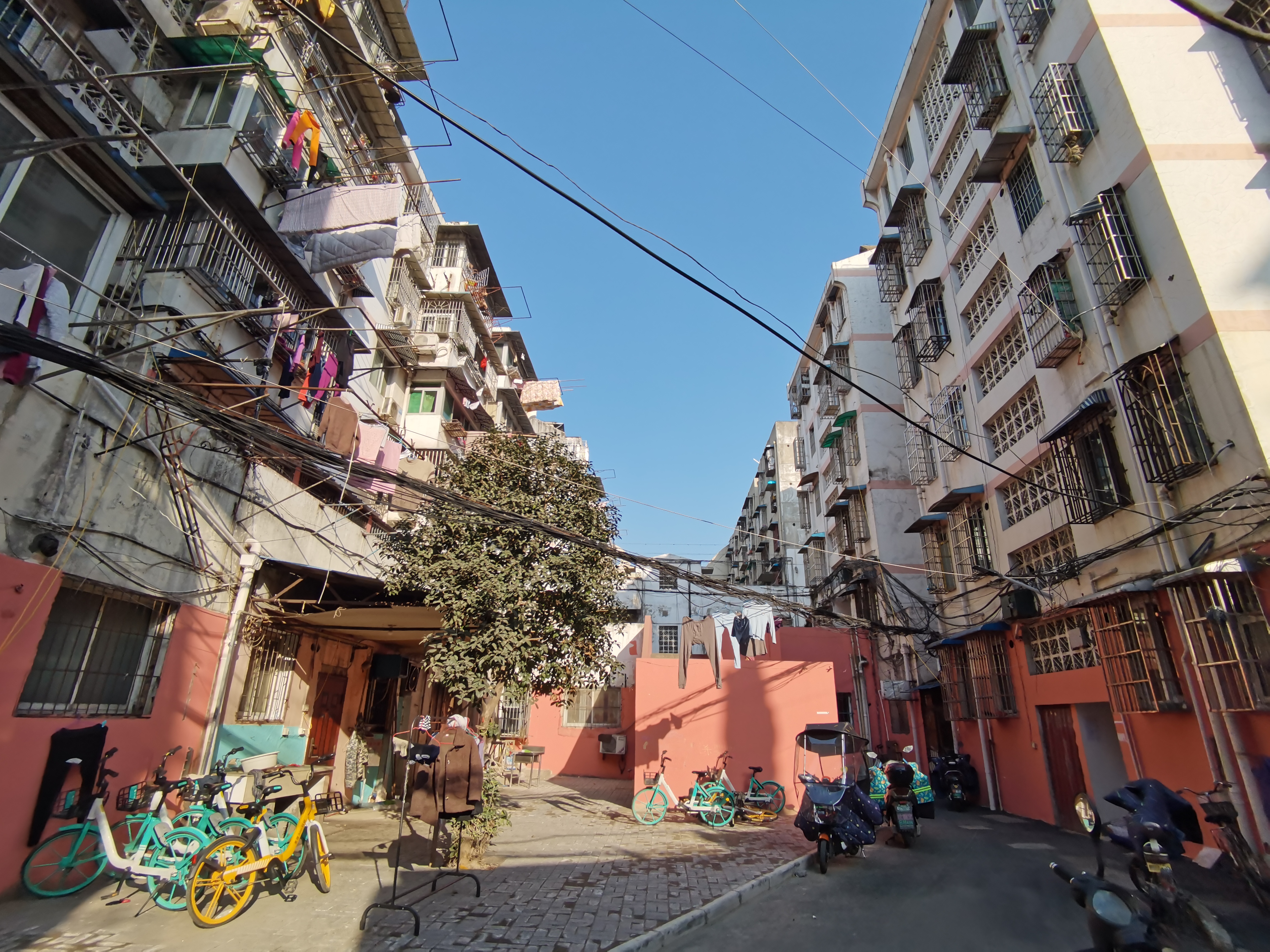 育红小学学区房有哪些,育红11中