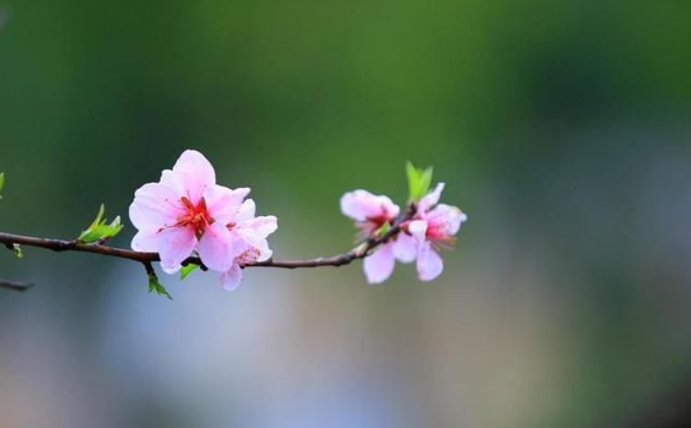如果你爱上了一个有家庭的男人,要学会如此做