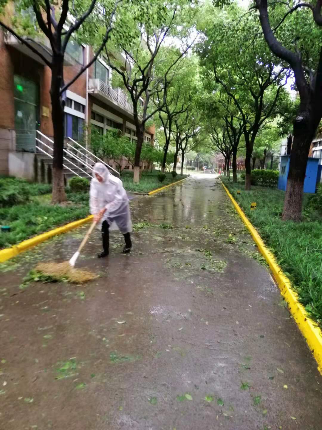 烟花来袭山东众志成城,烟花齐聚上海滩
