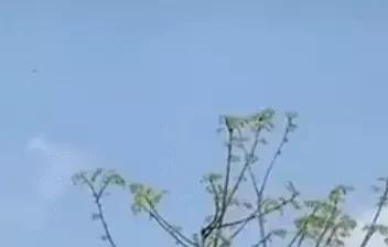 王一博玩无人机赶主播,王一博横店鹰眼视频