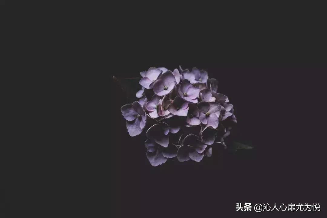 90后性冷淡风,90后情感冷淡