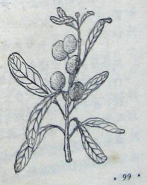 舌尖上的中国西安美食篇,舌尖上的美食西安篇