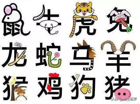 2021年十二生肖开运风水小秘招,2019十二生肖开运锦囊