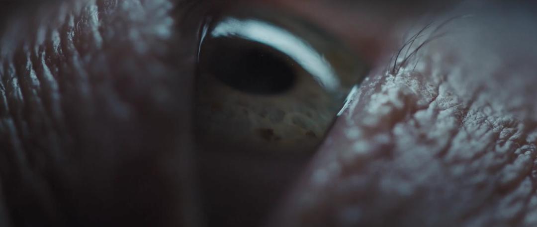 细思极恐网红短视频,抖音网红拍的细思极恐视频