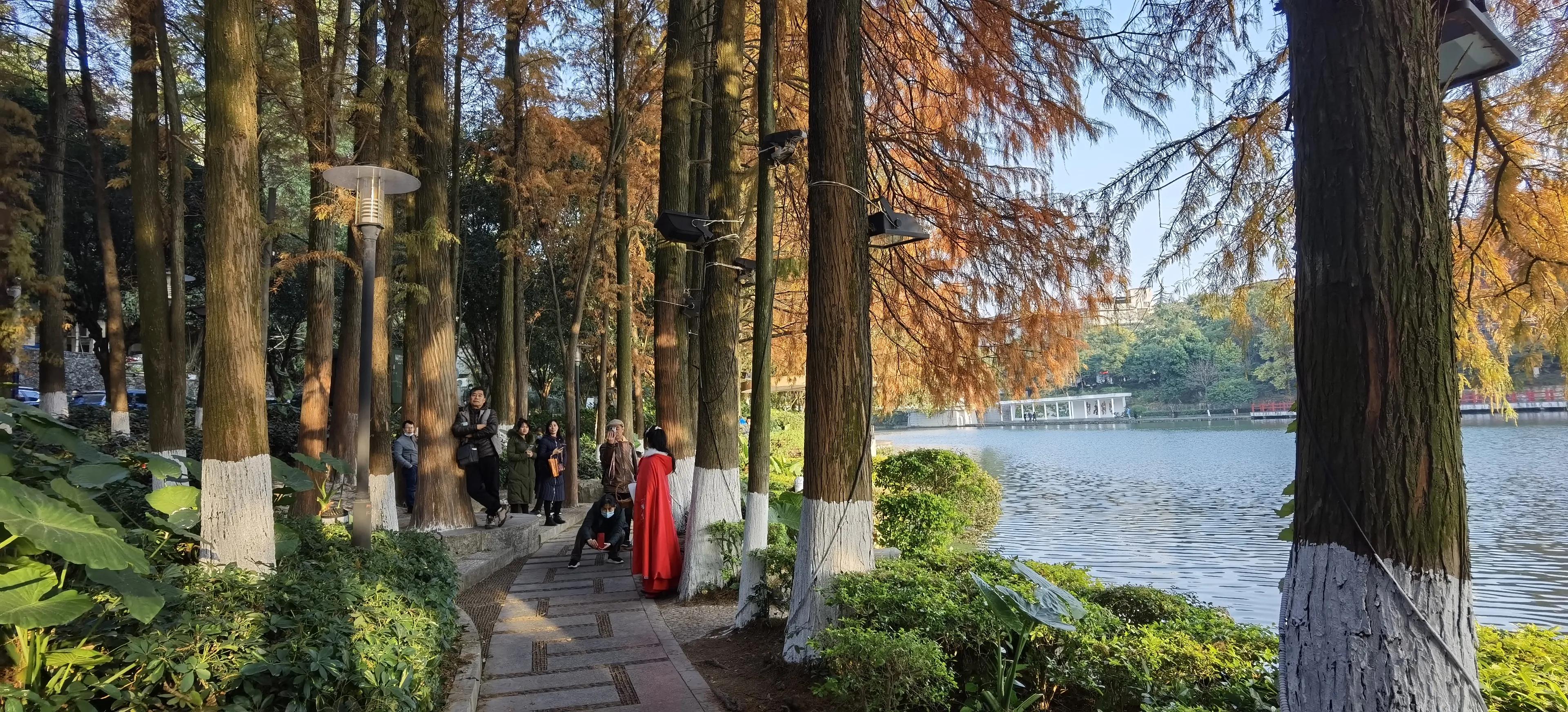 桂林：冬季到桂湖来看景