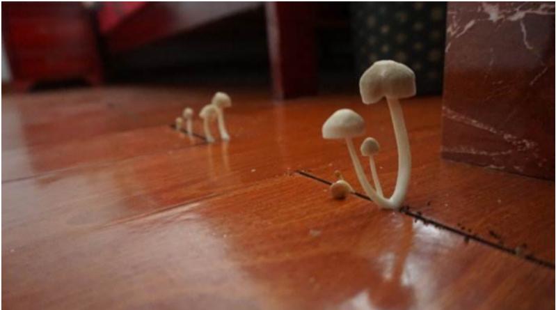 腿疼有湿寒艾灸哪个穴位见效,怎么给膝盖艾灸祛湿去寒