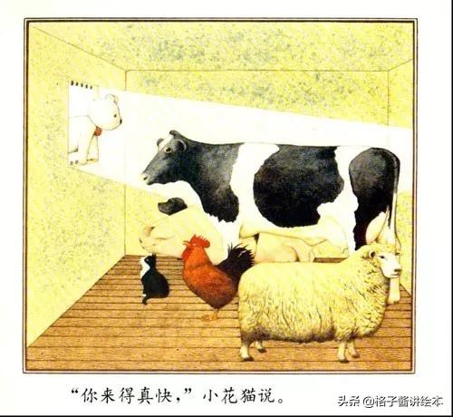 儿童睡前绘本故事小熊进城,小熊进城绘本感想