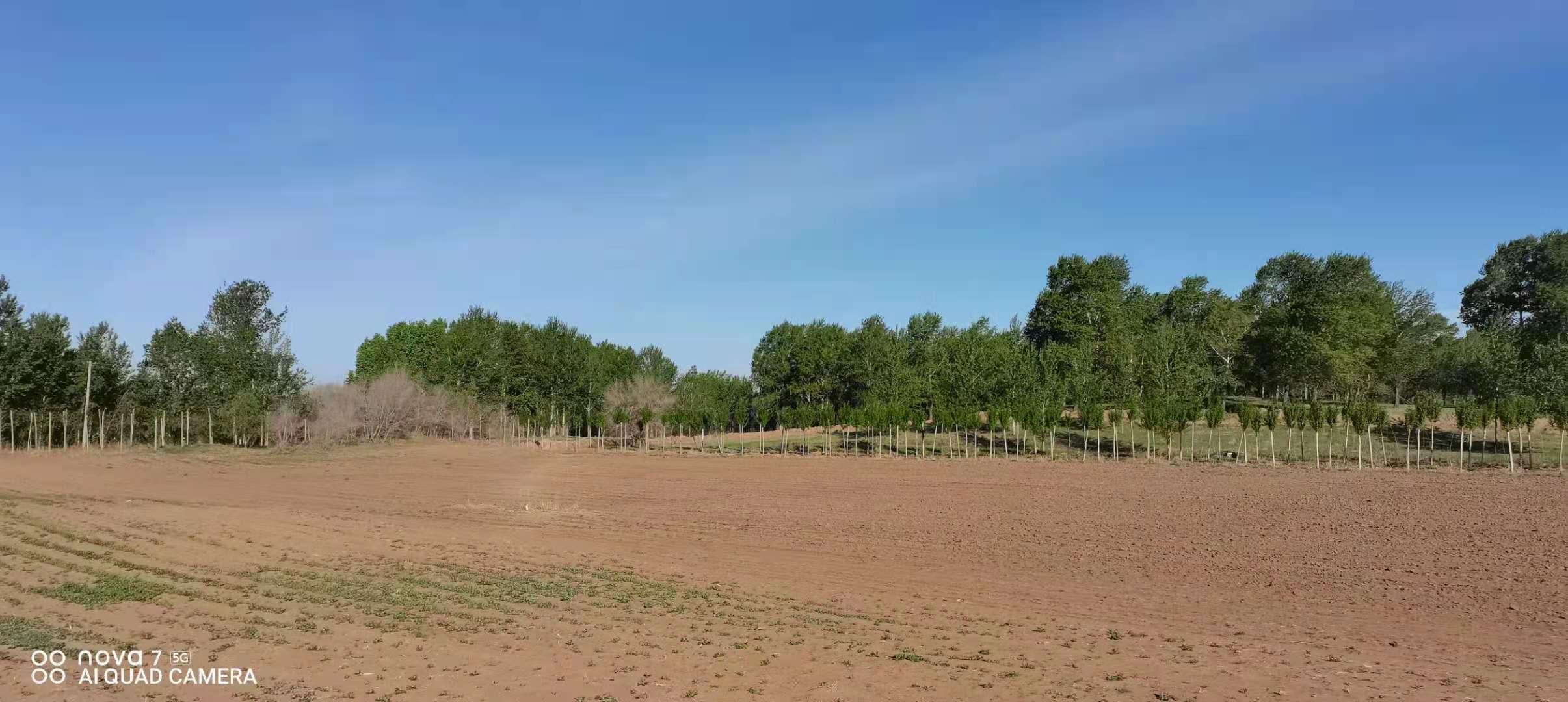 有格子的本子怎么解开,如何解决本子太多