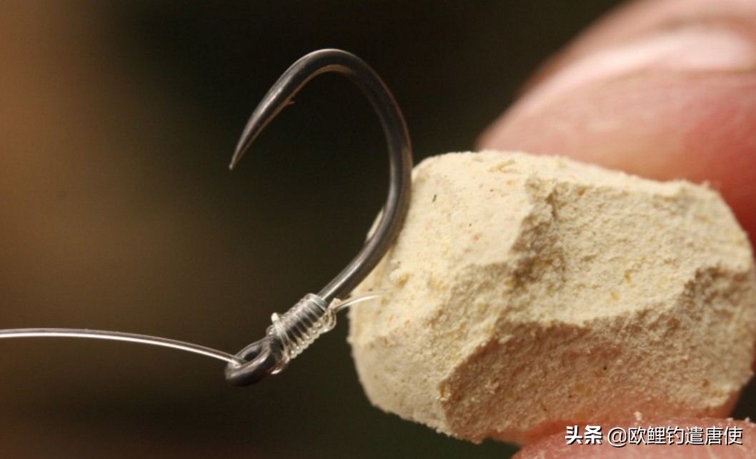 话说欧鲤钓之科学篇,欧鲤钓知识讲解