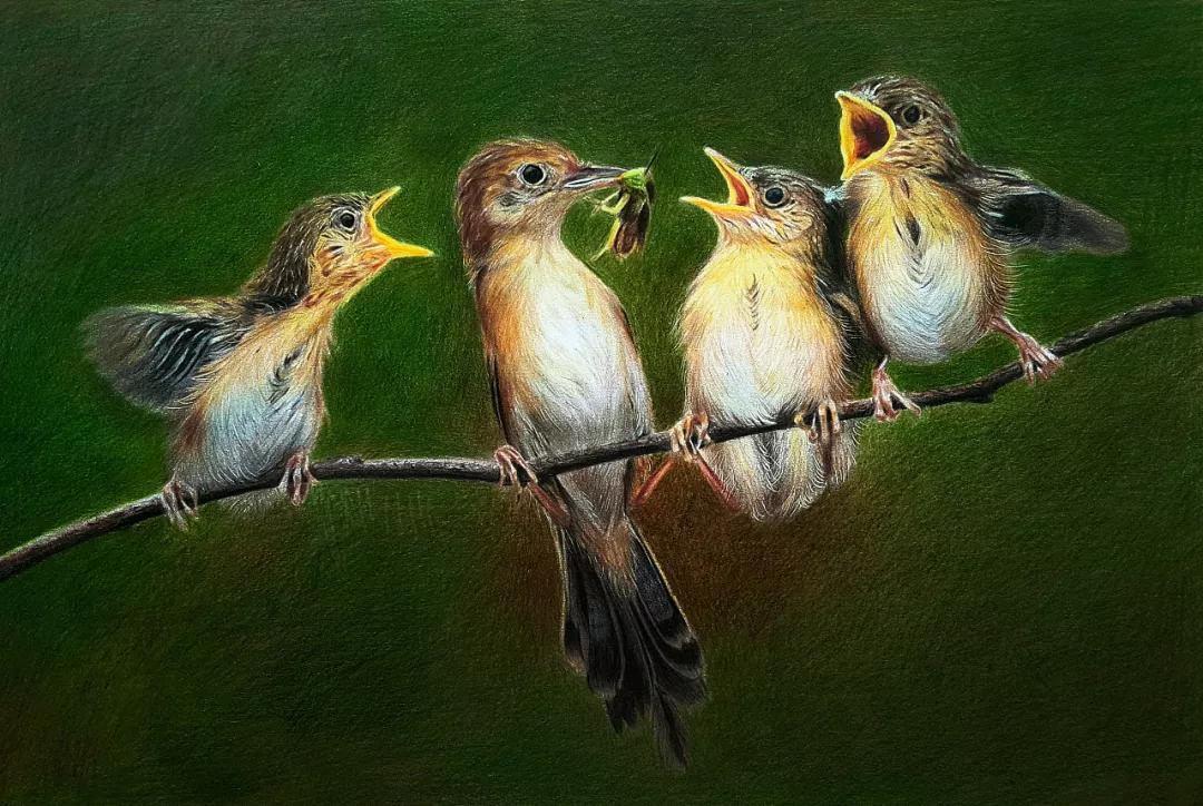 纪伯伦人,纪伯伦奴性代表了什么