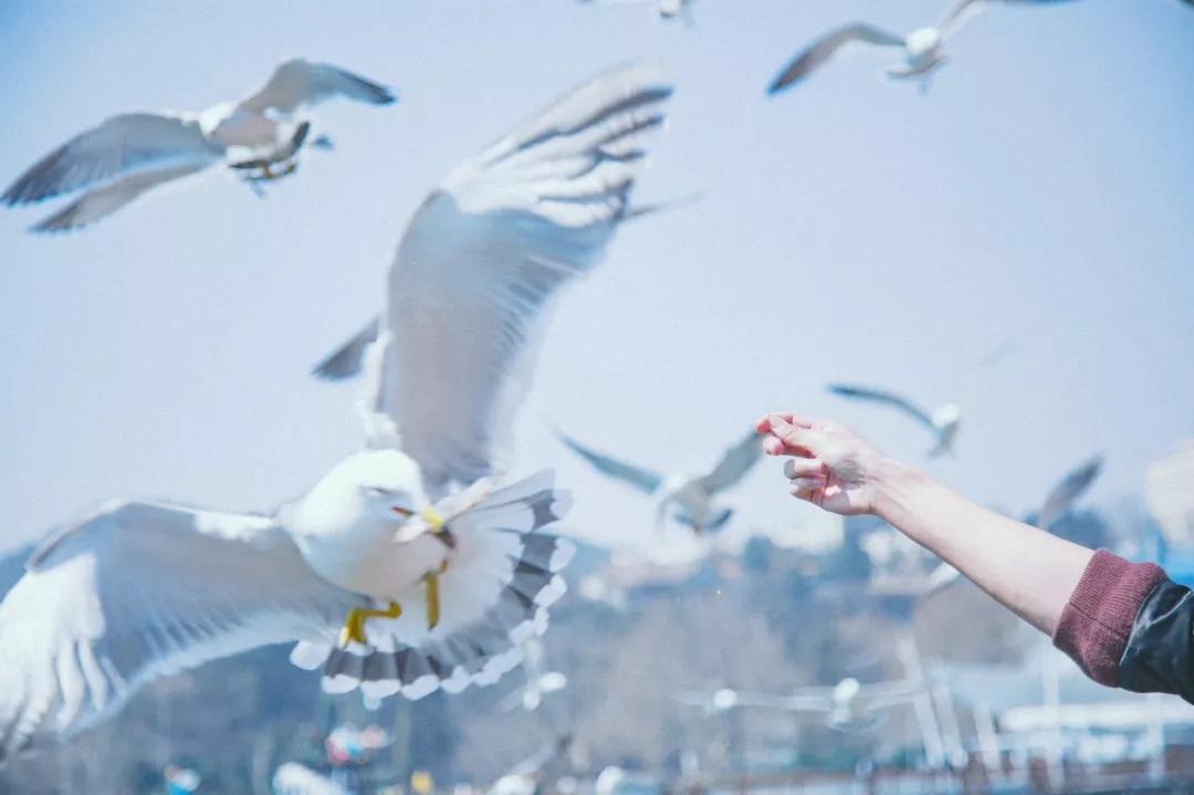 美过三亚!比厦门浪漫!中国这座海滨老城,去一次相当环游世界!