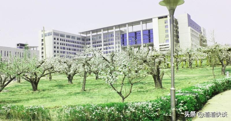 211大学实力排名燕山,上海211大学名单实力排名