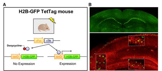 深兰科技现场,深兰科技