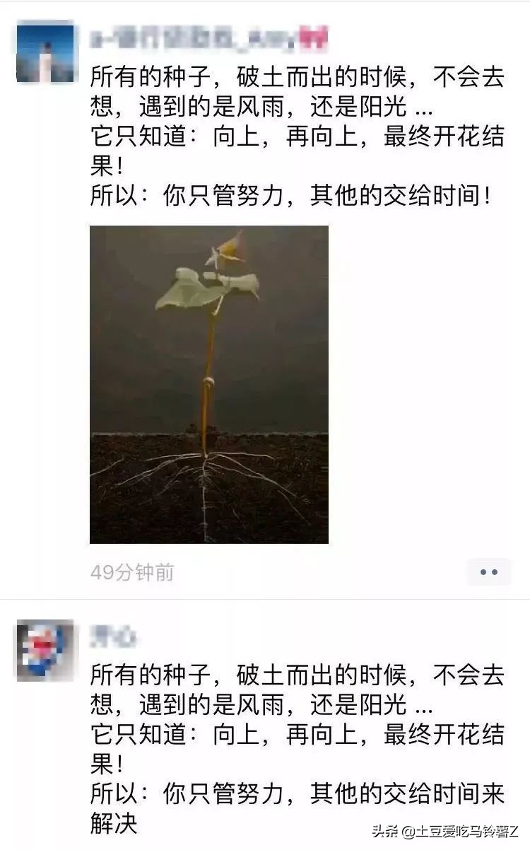 朋友圈文案高级暗骚,朋友圈文案花哨