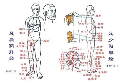 胆红素升高如何改善,成人总胆红素25.2偏高要不要紧