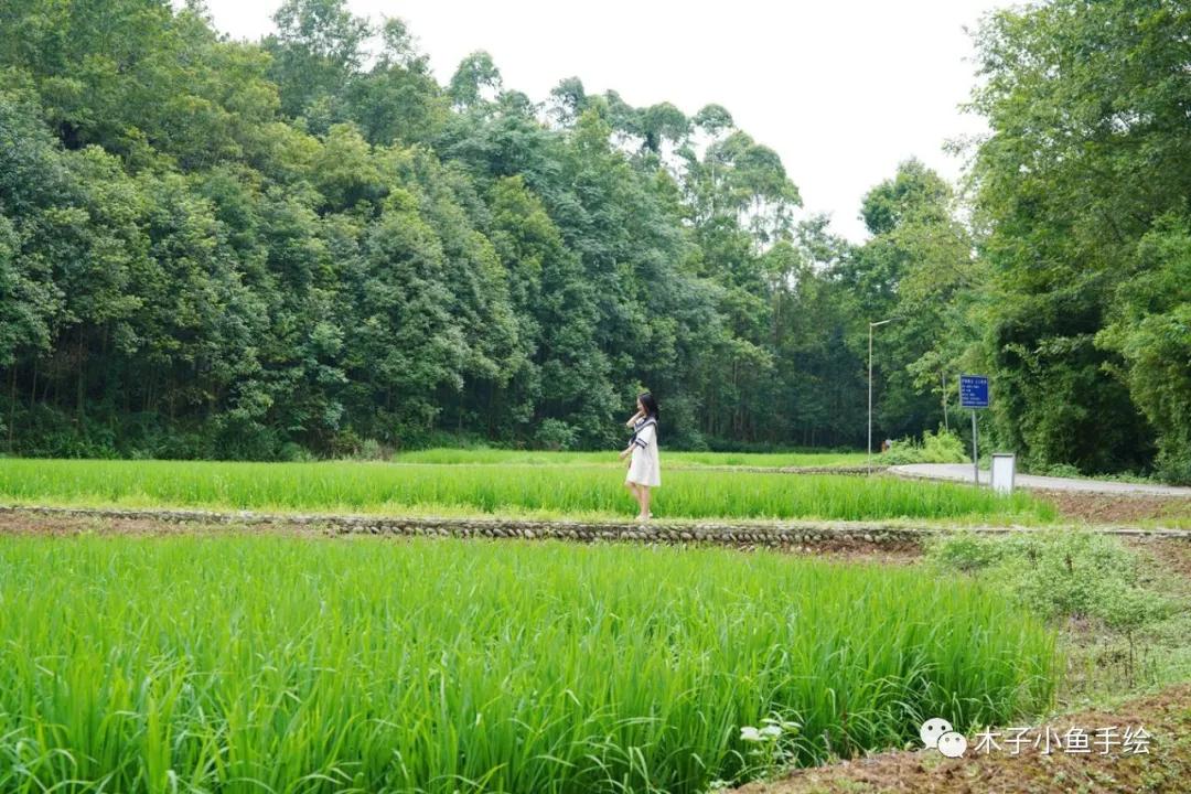 成都四季家园房价多少,四川省成都市的四季