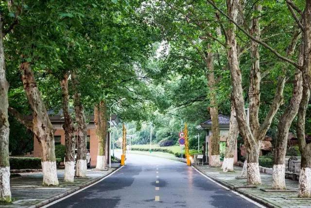 武汉必打卡排行榜,武汉十大打卡地