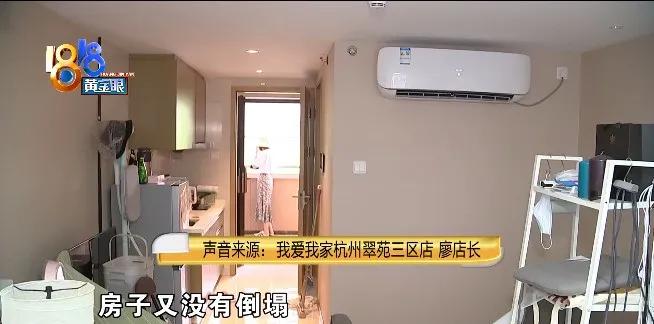 墙体发霉是房东的问题吗,墙体发霉有虫子发潮该怎么处理