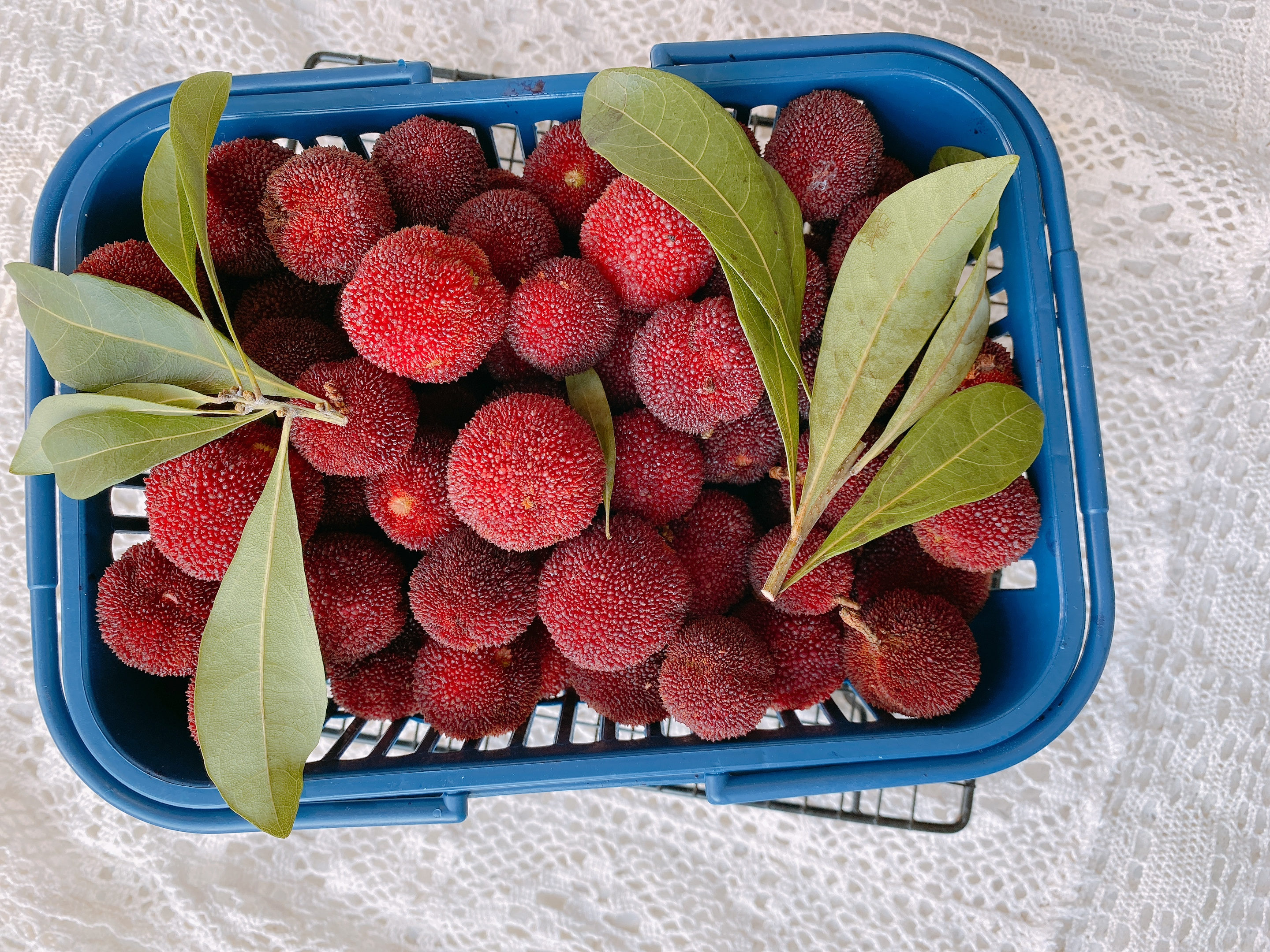 泡杨梅酒的教程十斤酒放多少杨梅,老品种杨梅泡制方法