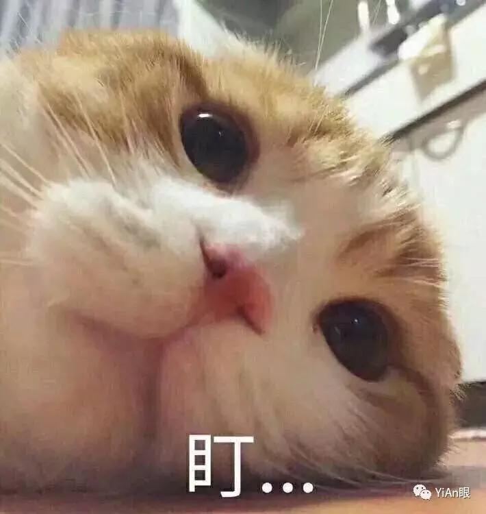 隐形眼镜戴上了怎么还摘不下来了,隐形眼镜摘也难吗