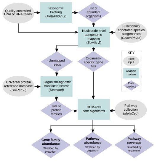 肠道菌群宏基因组,肠道微生物宏基因组检测有必要吗