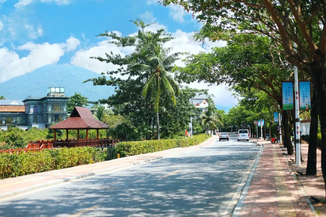 200元左右的民宿,三亚200平方米左右的民宿月租