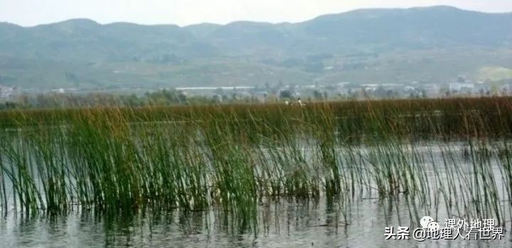 湖泊的成因及其分类,湖泊的成因及特征