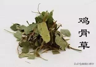 这些与“鸡”有关的中药,你见过几种?