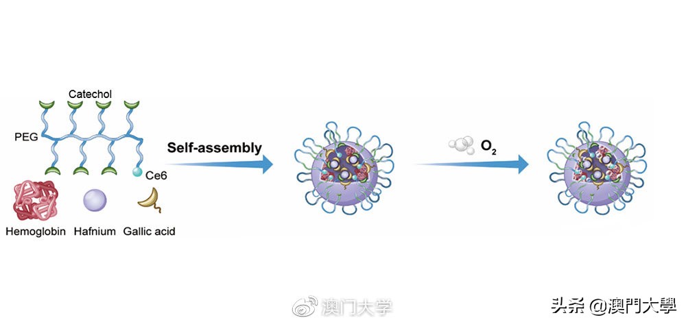婢冲ぇ鍒╀簹绾崇背鏂拌嵂,婢冲ぇ鍒╀簹鏈夌爺鍙戝嚭鎶楃檶鐨勮嵂